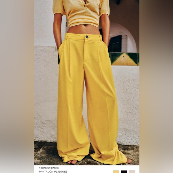 Zara Pants - ZARA… pleated pants